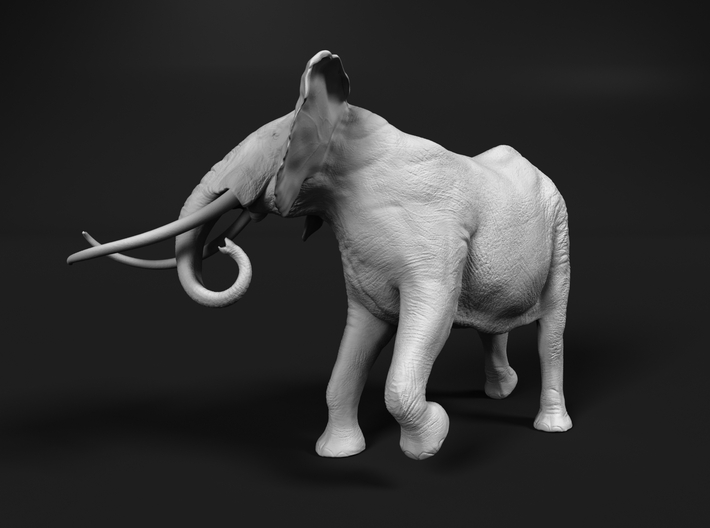 African Bush Elephant 1:96 Tusker Bull Shawu 3d printed 
