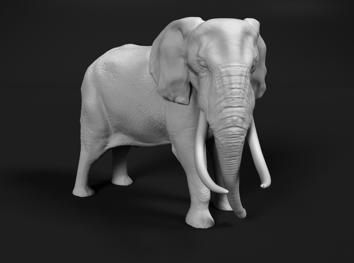 African Bush Elephant 1:12 Tusker Bull Dzombo 3d printed 