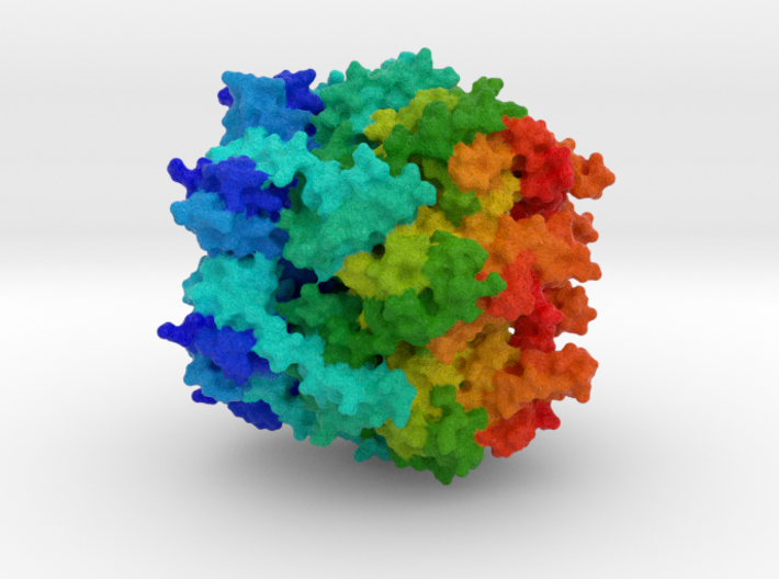 RuvB Holiday Junction Helicase 3d printed