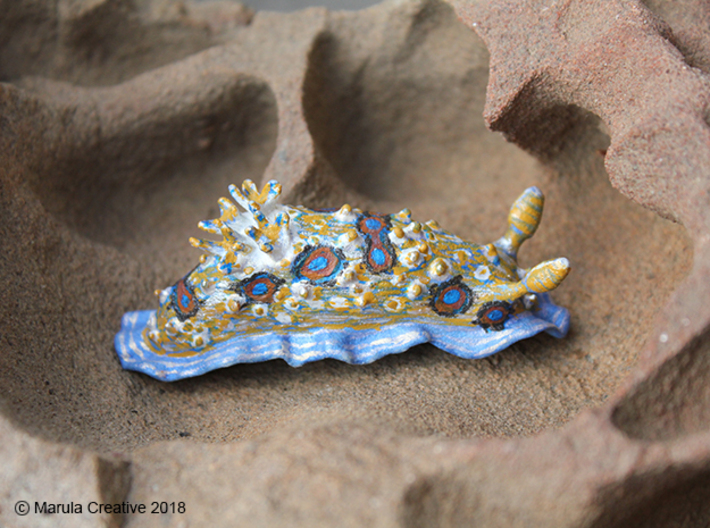 Dorisoni the Nudibranch 3d printed Hand Painted White Strong &amp; Flexible Polished