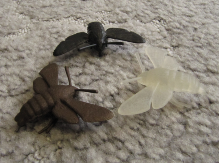Hummingbird Hawk-Moth Pendant (solid version) 3d printed Black High Definition Acrylate, Frosted Ultra Detail and Matte Bronze Steel (clockwise from the top)