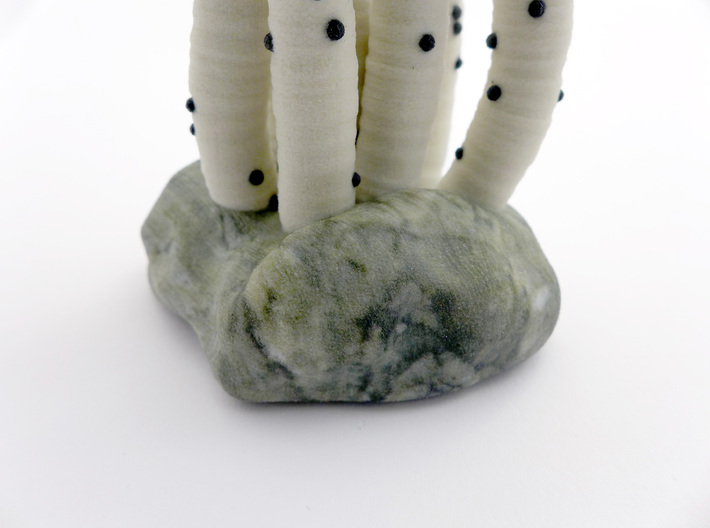 Riftia Tube Worm Sculpture 3d printed 