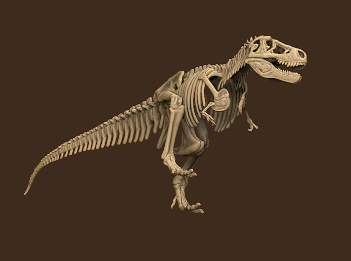 Tyrannosaurus Skeleton Sue 40 cm long. 3d printed