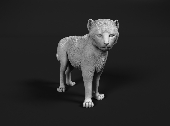 Cheetah 1:20 Standing Cub 3d printed 