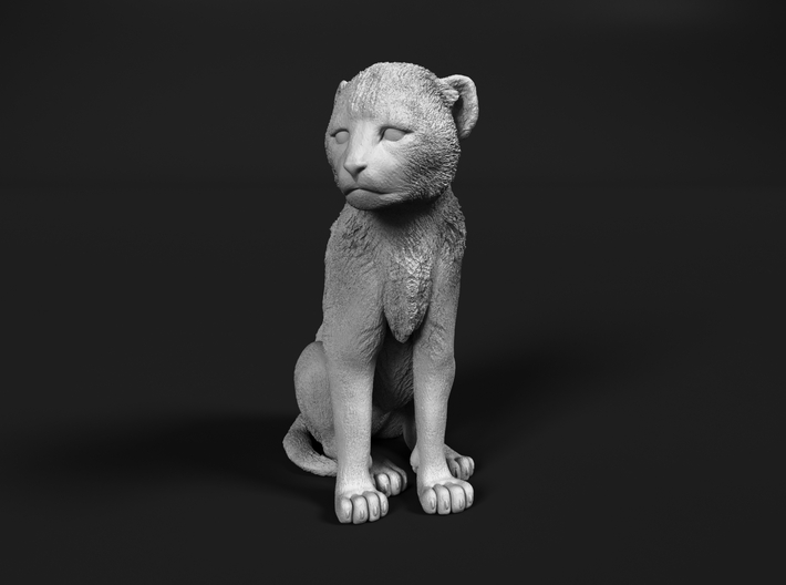 Cheetah 1:35 Sitting Cub 3d printed 