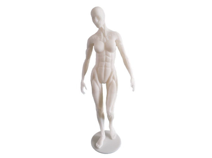 Female form robotic anatomy 20cm 3d printed SLA 3D print of model