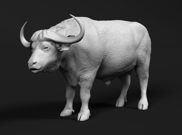 Cape Buffalo 1:6 Standing Male 4 3d printed 