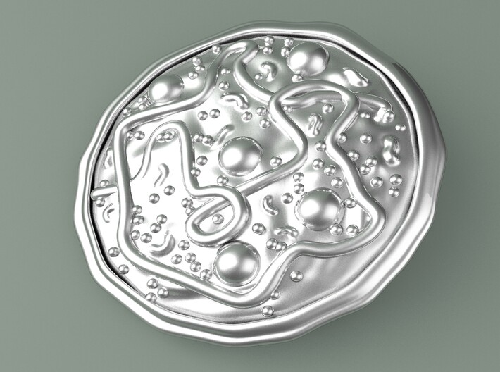 Mycoplasma pendant 3d printed Computer render of Mycoplasma pendant in polished silver