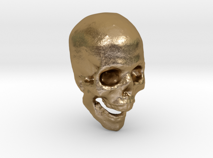 skull hollowed 3d printed