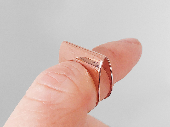 Ring No. 1 3d printed 