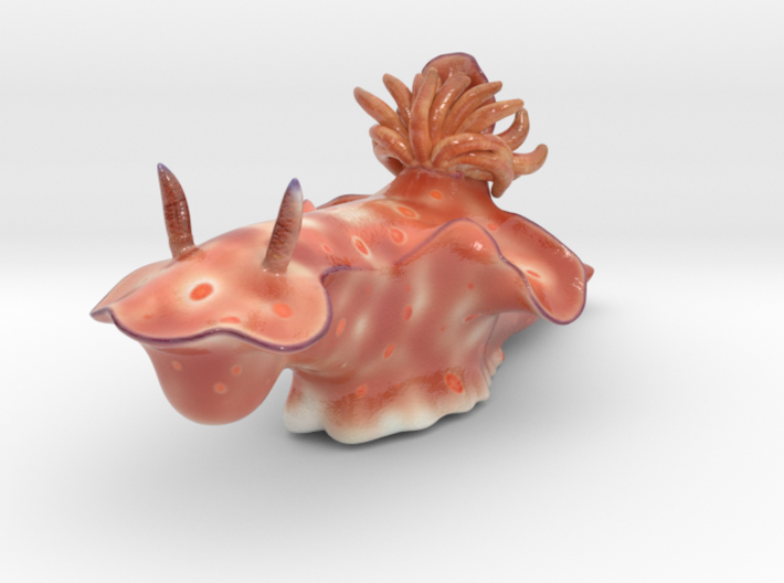 Cerasotoma trilobatum 3d printed 3D render