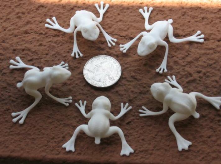 5 Jumping Frogs 3d printed