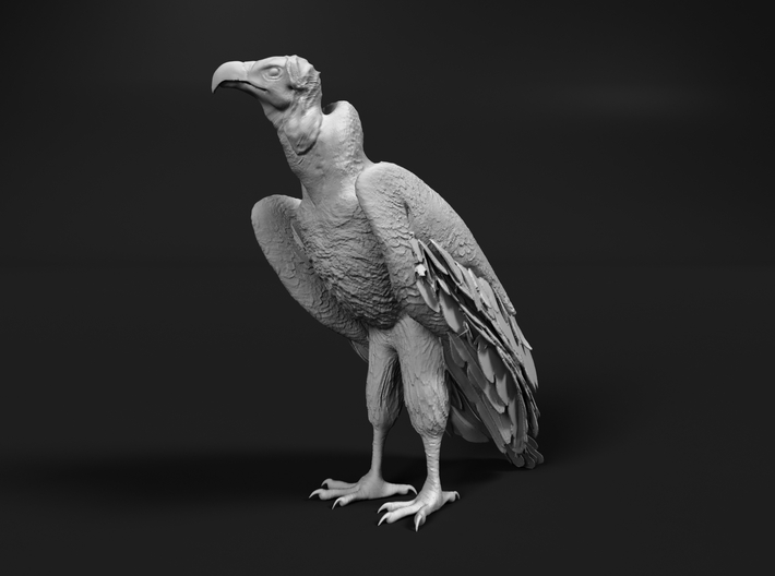 Lappet-Faced Vulture 1:72 Standing 3d printed