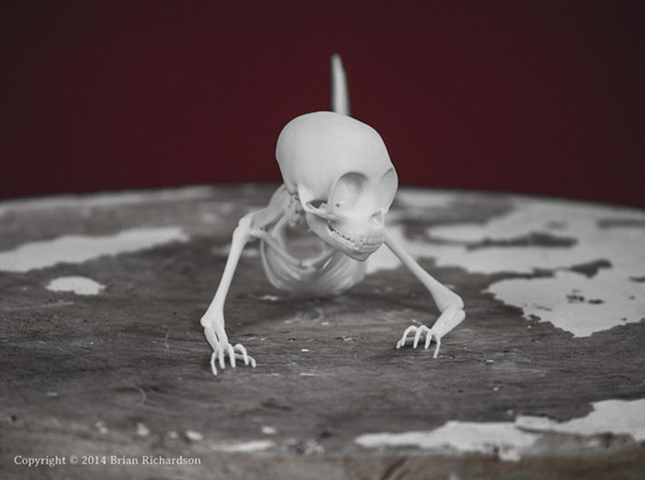 Feejee Mermaid Skeleton 3d printed 