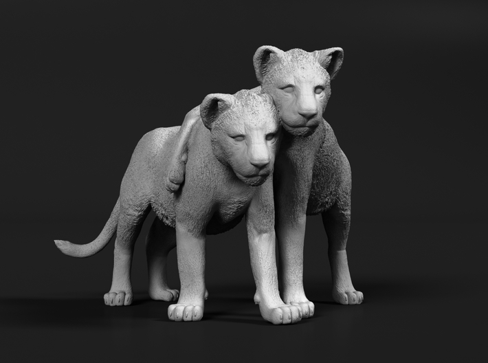 Lion 1:6 Cubs distracted while playing 3d printed