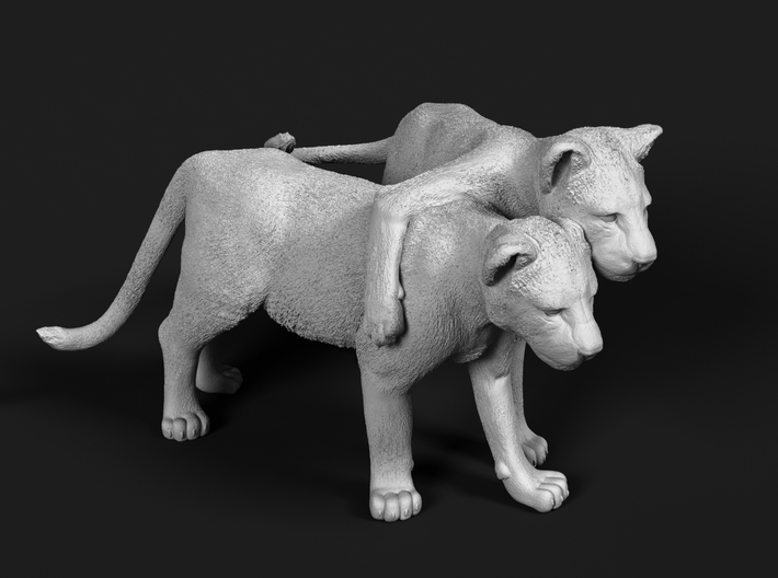 Lion 1:64 Cubs distracted while playing 3d printed 