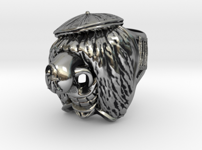 Famous Waggis Ring / 22mm 3d printed 