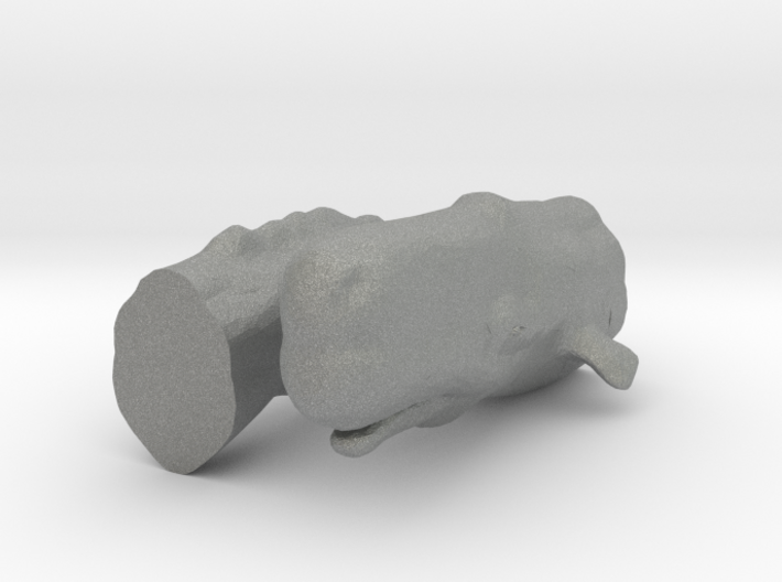 S Scale Sperm Whale 3d printed This is a render not a picture