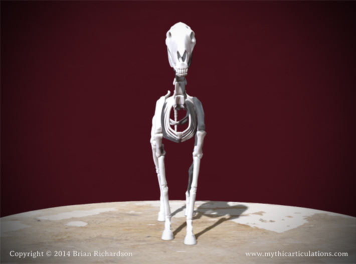 Horse Skeleton 3d printed 