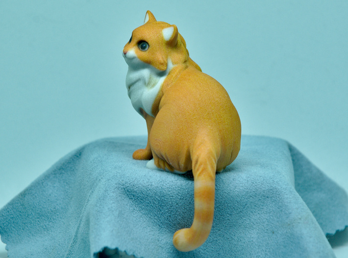 Foxy cat 3d printed 