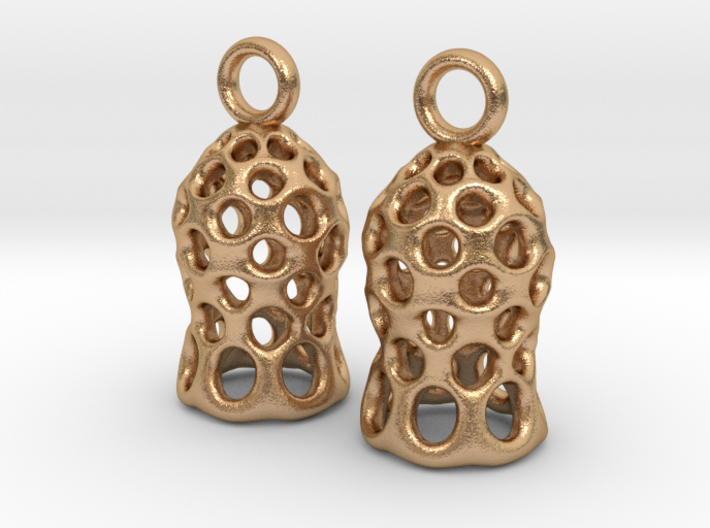 Tintinnid Dictyocysta Mitra Earrings 3d printed