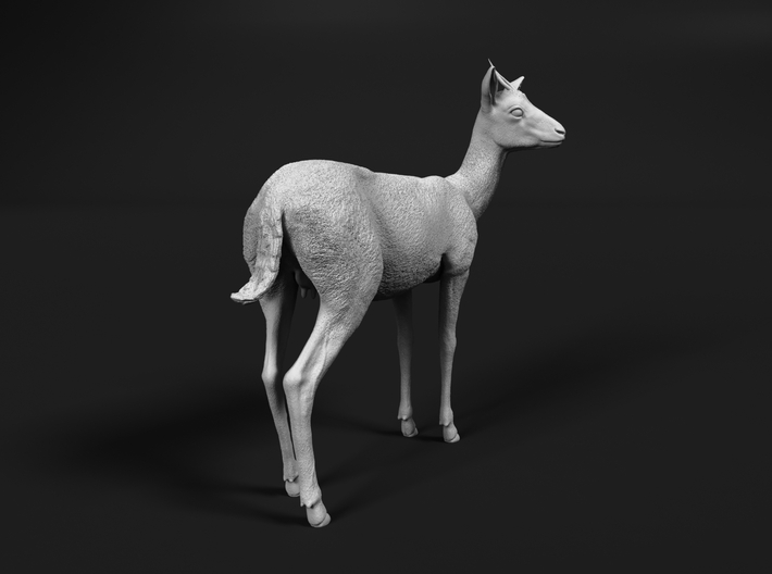 Thomson's Gazelle 1:6 Standing Female 3d printed 