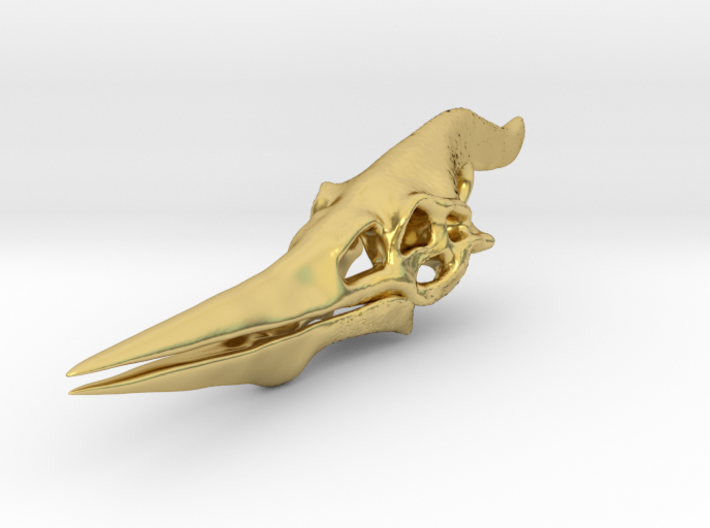 Pteranodon Skull 3d printed