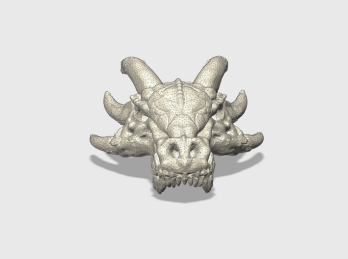 21 x 16mm Dracorex Skulls 3d printed 