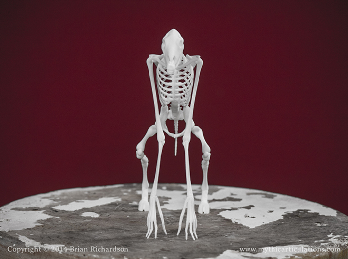 Tikbalang Skeleton 3d printed 