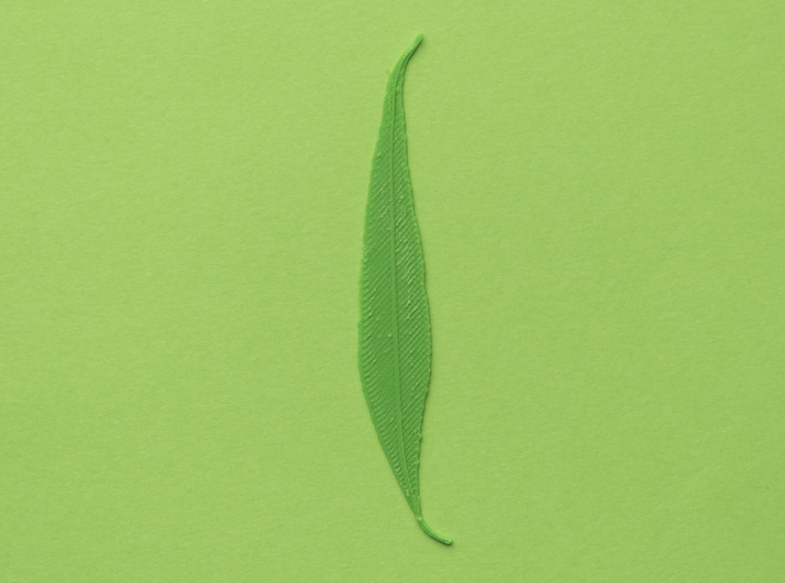 Willow tree leaf 3d printed Printed with PLA