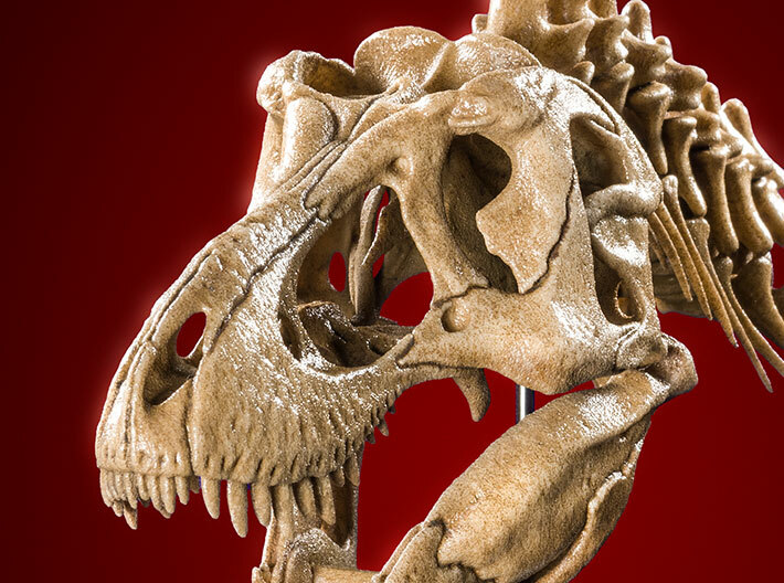 Tyrannosaurus - dinosaur skull and neck vertebrae 3d printed photo of product with added paint