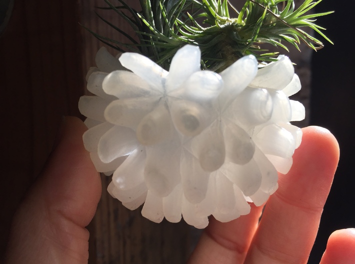 Biomorphic Planter 3d printed 