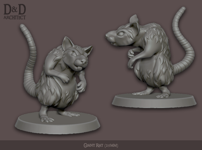 Get FREE Wooden RPG engraved BOX DnD miniatures Sneeetch giant rat miniature 50mm base Dungeons and dragons D/&D tabletop miniatures