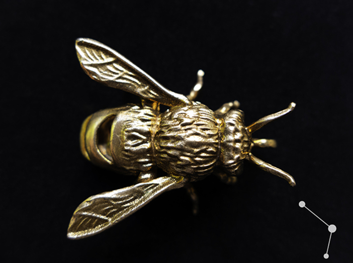 Honey Bee - Pendant - Vessels 3d printed