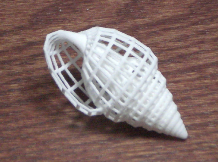 Shell 4 3d printed small shell, with opening parallel to axis