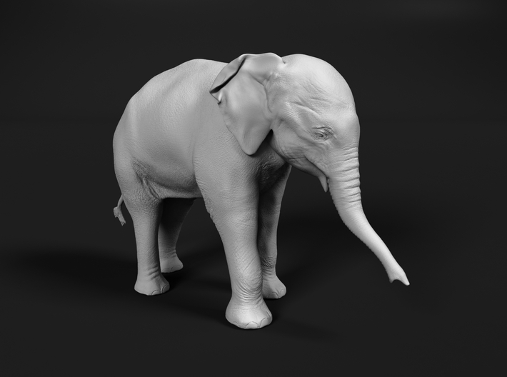 Indian Elephant 1:64 Standing Female Calf 3d printed 