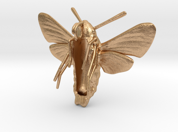 Hummingbird Hawk-Moth Pendant (hollow version) 3d printed
