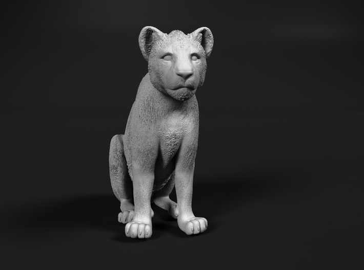 Lion 1:16 Sitting Cub 3d printed