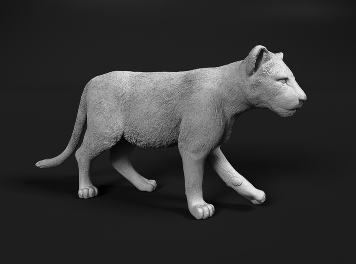 Lion 1:6 Walking Cub 3d printed