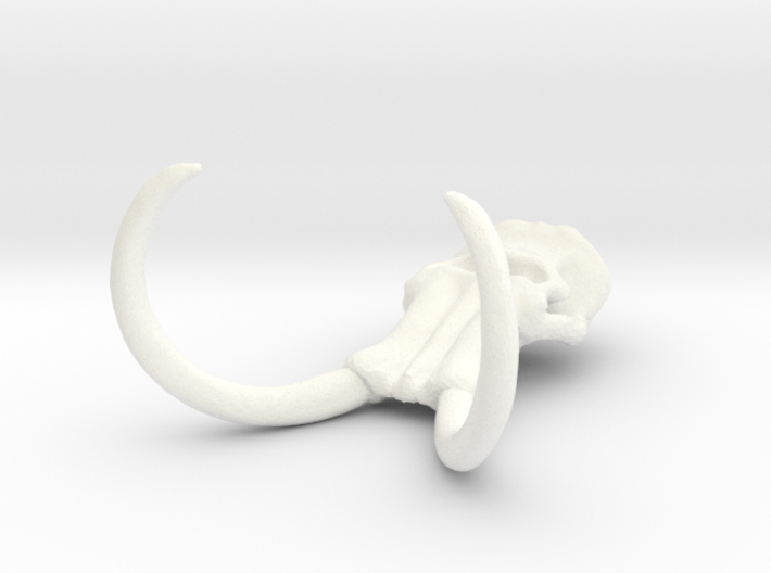30 x 40mm Mammoth Skull (Lrg) 3d printed 