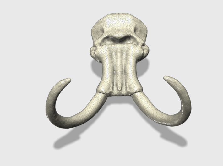 30 x 40mm Mammoth Skull (Lrg) 3d printed Front