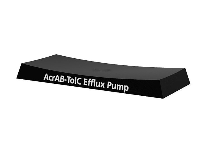 ArcAB-TolC Efflux Pump Base 3d printed