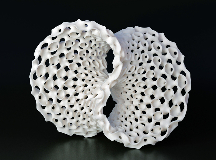 Seifert Surface Sculpture 3d printed