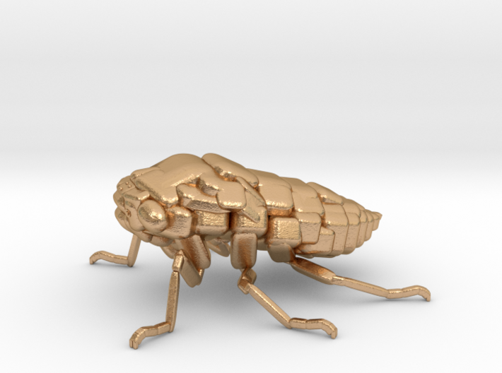 Cicada! The Somewhat Square-ish Sculpture 3d printed Bronze'n cool cicada!