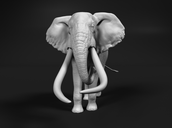 African Bush Elephant 1:22 Giant Bull 3d printed 
