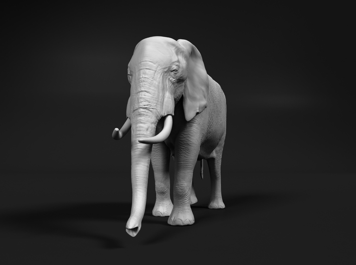 African Bush Elephant 1:9 Walking Female 3d printed 