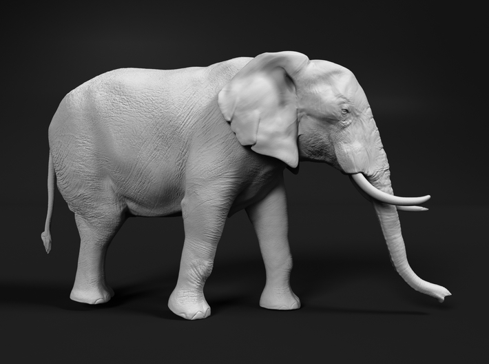 African Bush Elephant 1:25 Walking Female 3d printed 