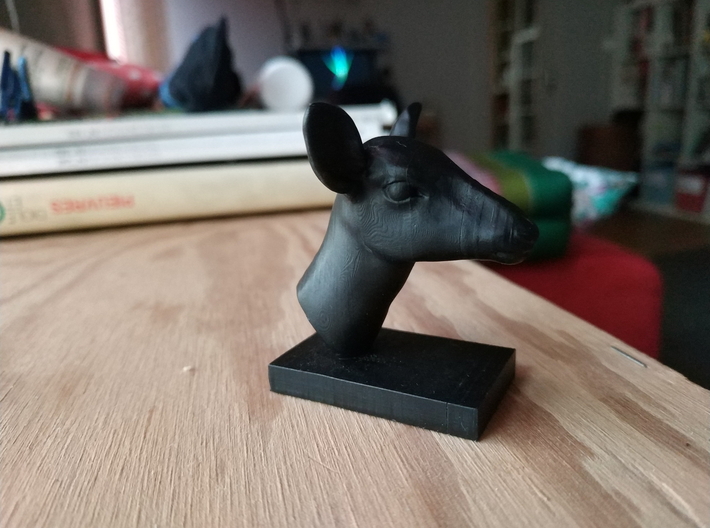 Doe head 3d printed printed on my own Anycubic Photon
