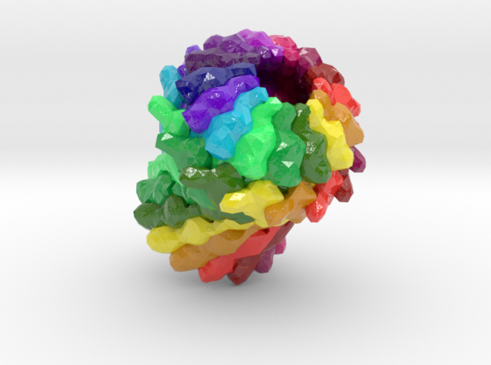 General Secretion Pathway Protein GspD (Large) 3d printed