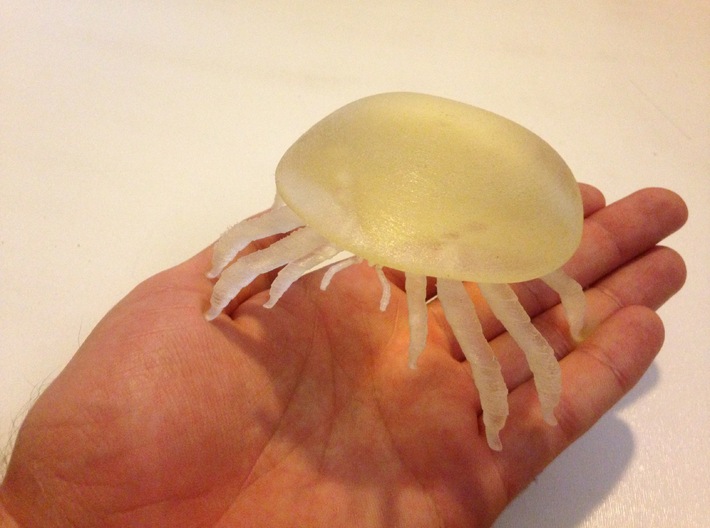 Male Varroa Mite 3d printed Clear plastic no longer available. Only for size comparison.
